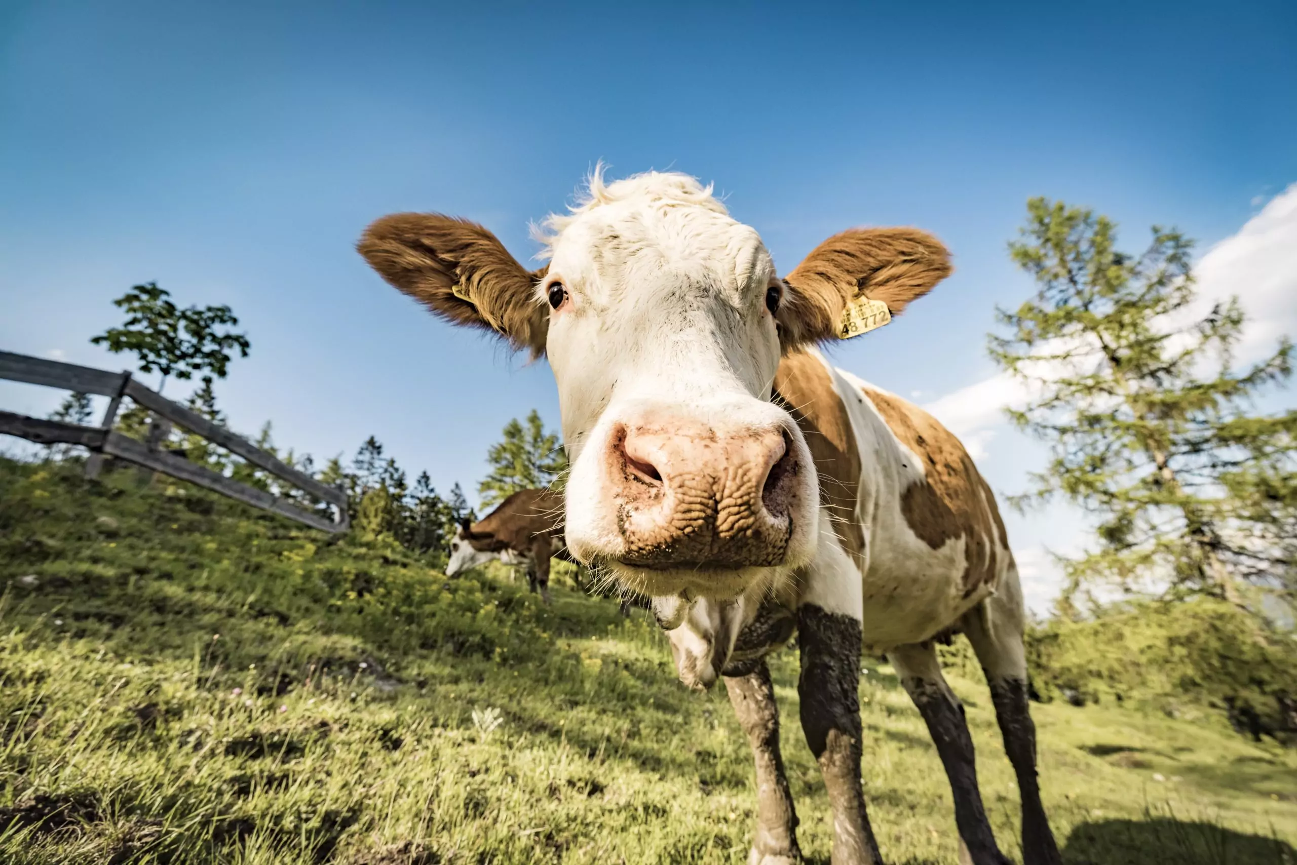 Verhaltensregeln in den Bergen
