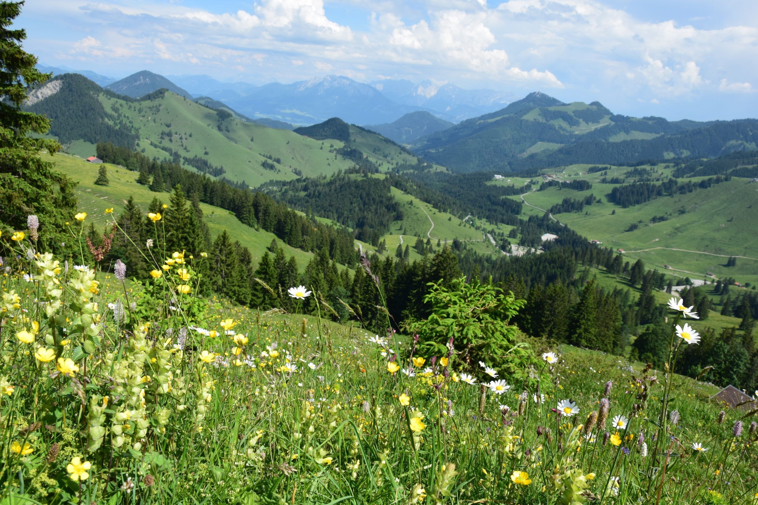 Berg Sommer Monika Stöcklhuber