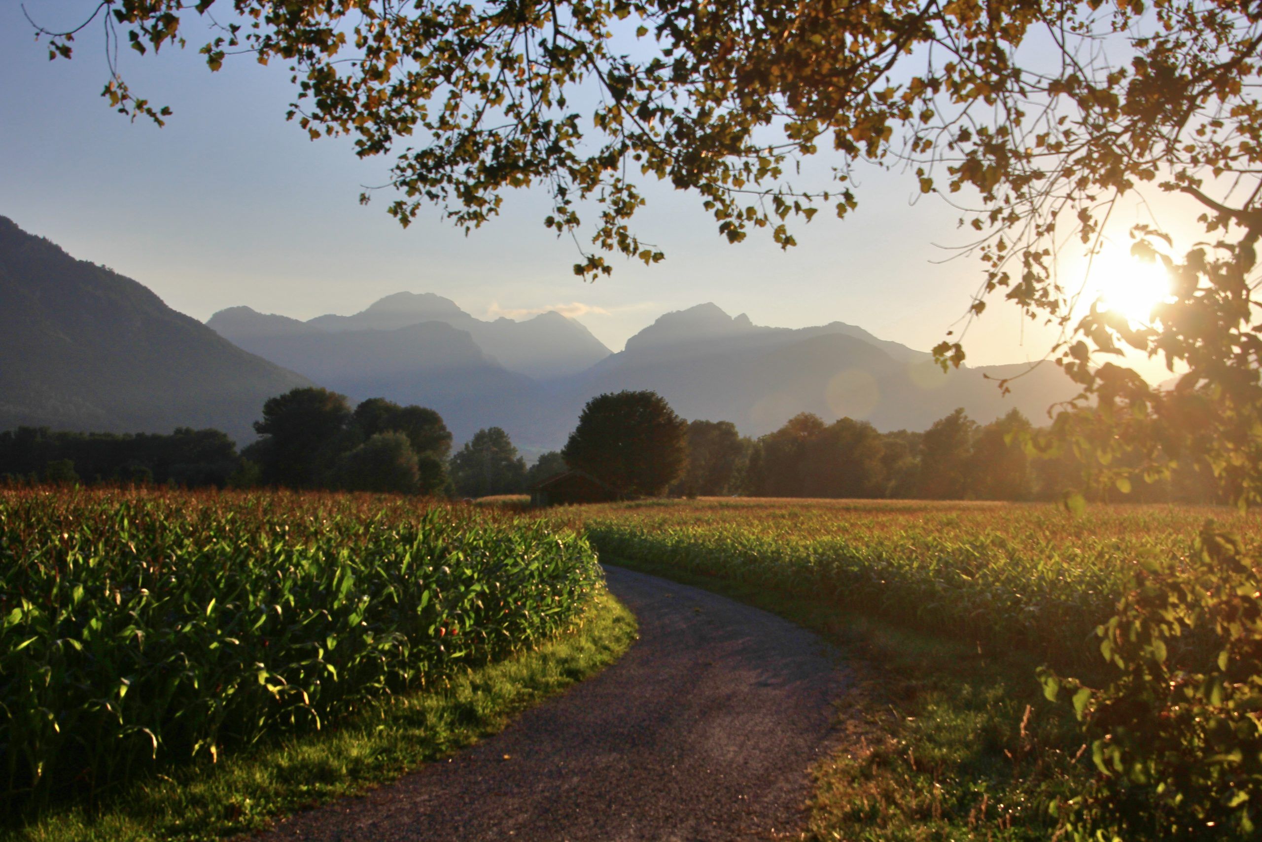 Seite 6 Hinz Sommer