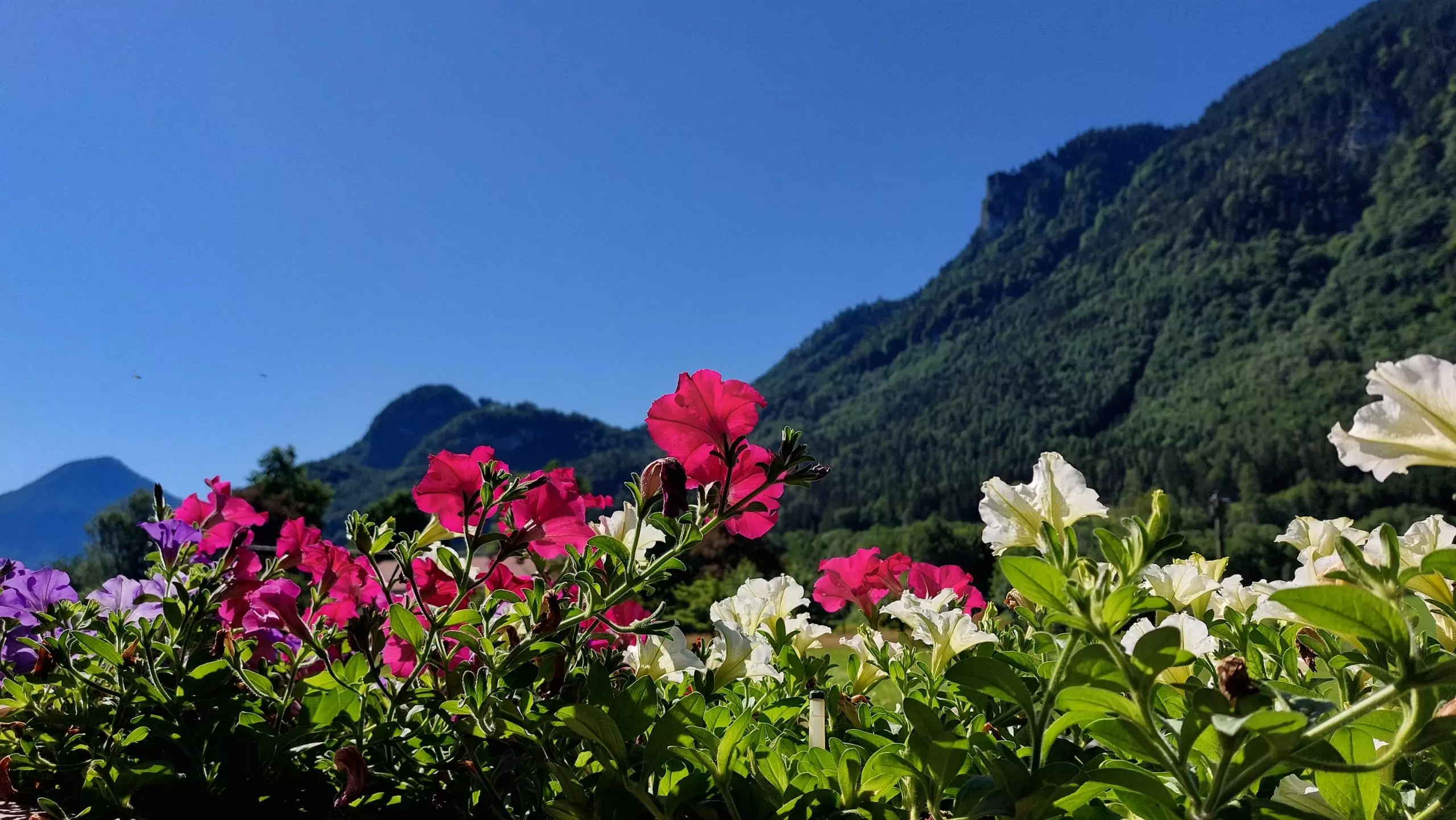 © Chiemsee-Alpenland Tourismus, Thomas Kujat