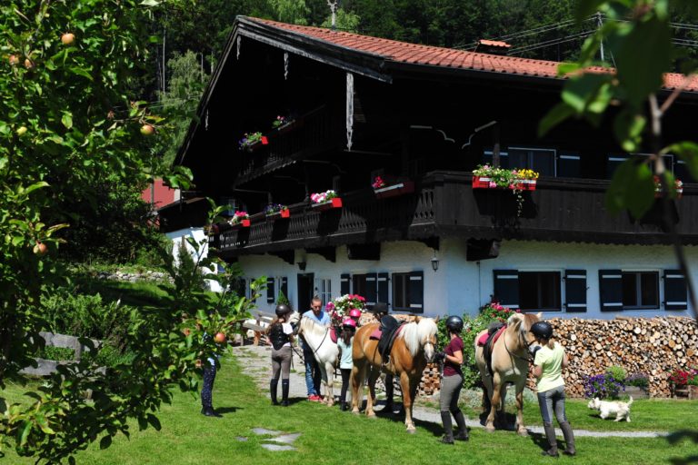 Seite 5 Fruehling Stefan Haug 768x512