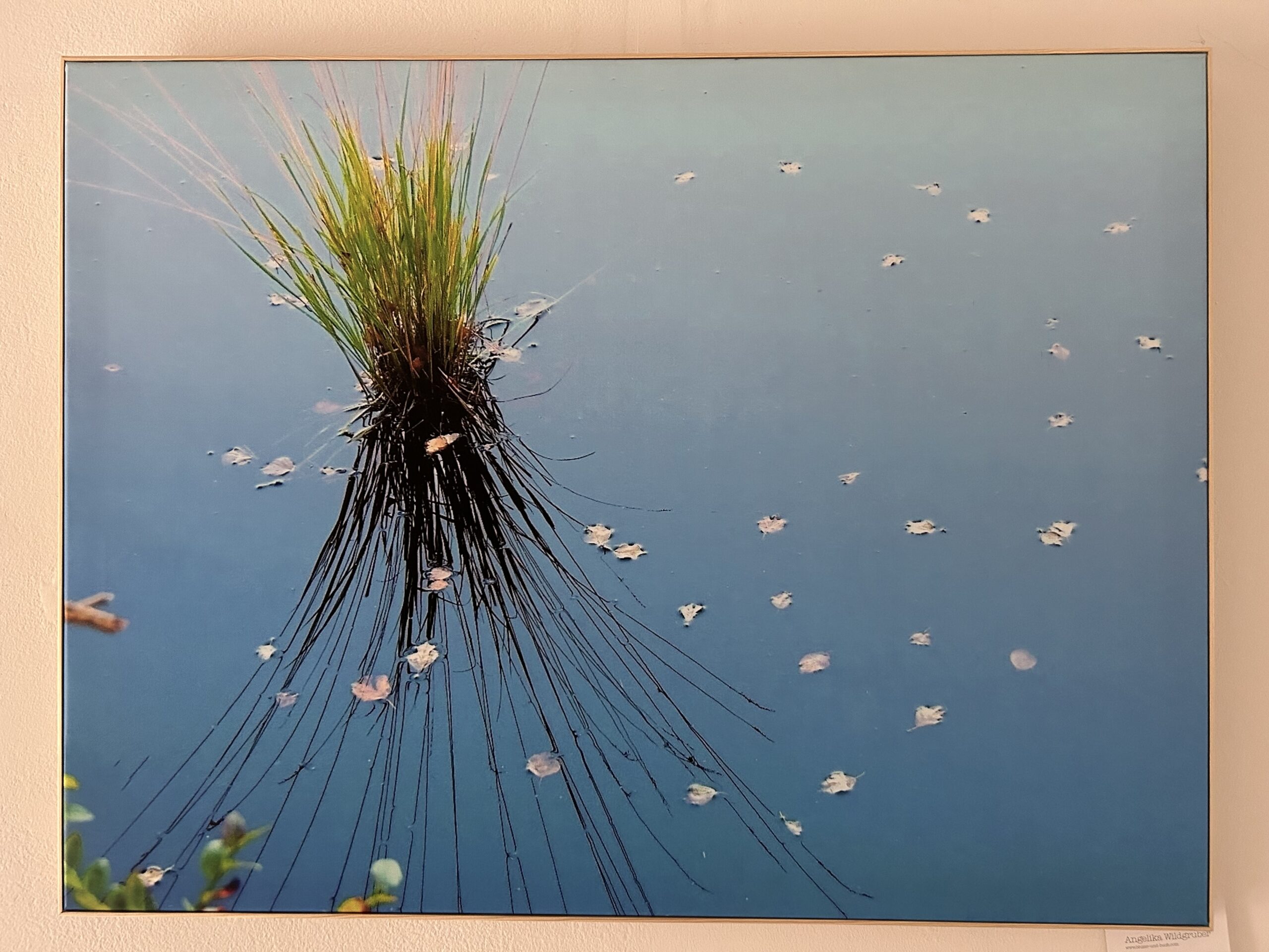 Kunst, Hannes Dillen, Ausstellung