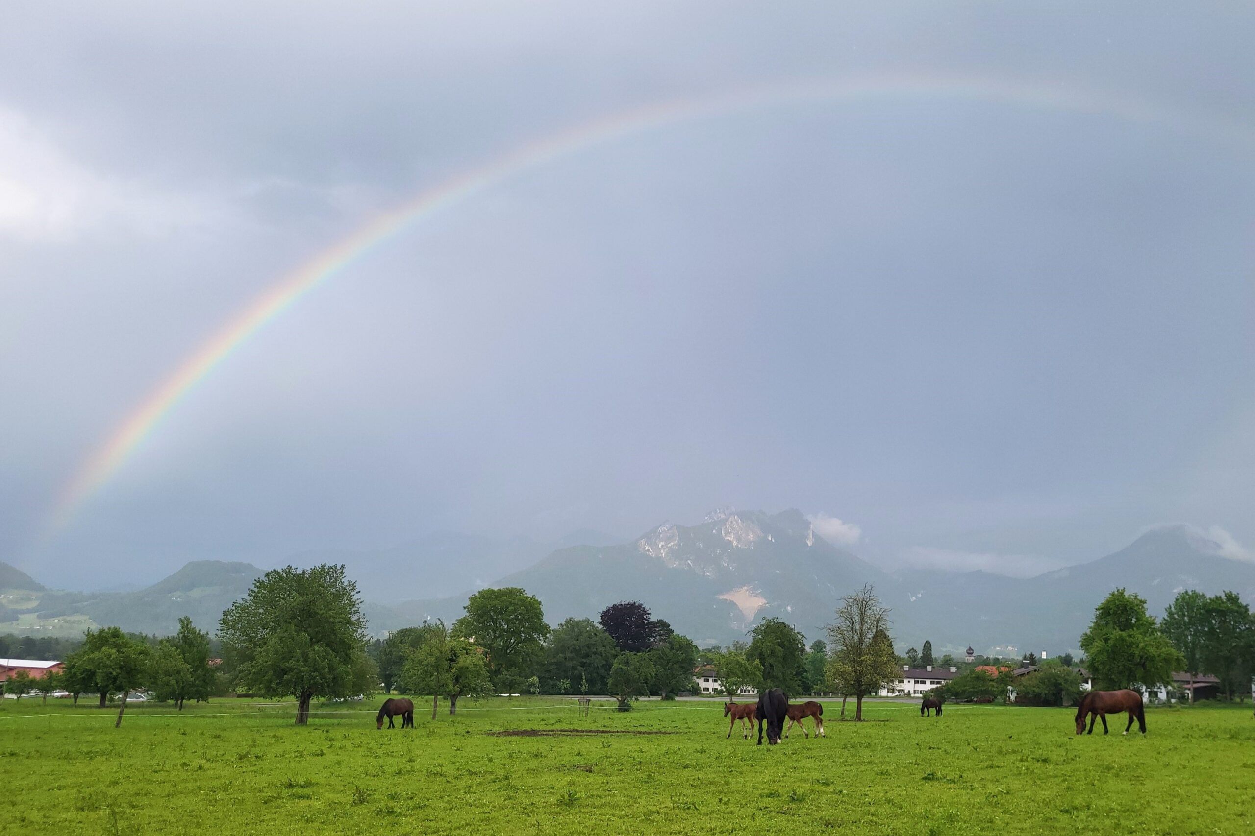 Regenbogen Brannenburg Ursula Burghardt